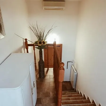 Apartmaji Pajer Koper Exterior photo