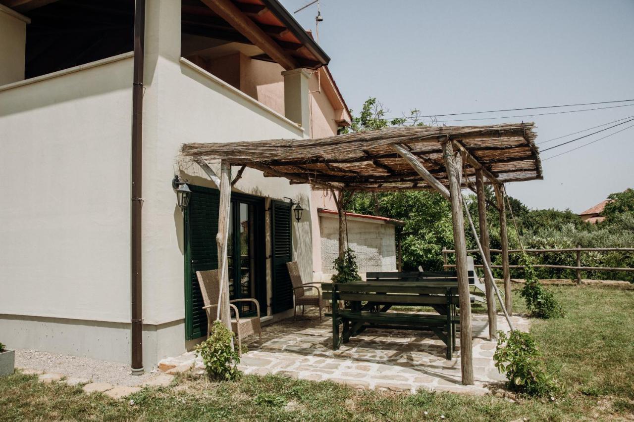 Apartmaji Pajer